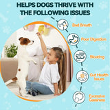 CARMELIE - Carmelie Probiotics for Dogs 200 Masticables - The Red Vitamin MX - Probióticos Para Perros - {{ shop.shopifyCountryName }}