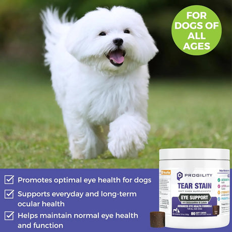 NOOTIE - Nootie Progility Tear Stain Supplement for Dogs 80 Masticables - The Red Vitamin MX - Cuidado De Los Ojos De Los Perros - {{ shop.shopifyCountryName }}