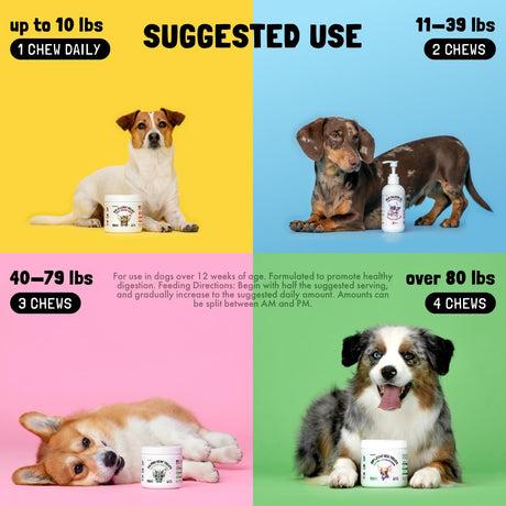 LEGITPET - LEGITPET Mushroom Complex Treats for Dogs 30 Masticables - The Red Vitamin MX - Suplementos Herbales Para Perros - {{ shop.shopifyCountryName }}