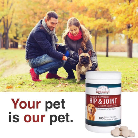LLOYD & LUCY'S - Lloyd & Lucy's Hip and Joint Supplement for Dogs 180 Tabletas Masticables - The Red Vitamin MX - Cuidado De Cadera Y Articulaciones Para Perros - {{ shop.shopifyCountryName }}