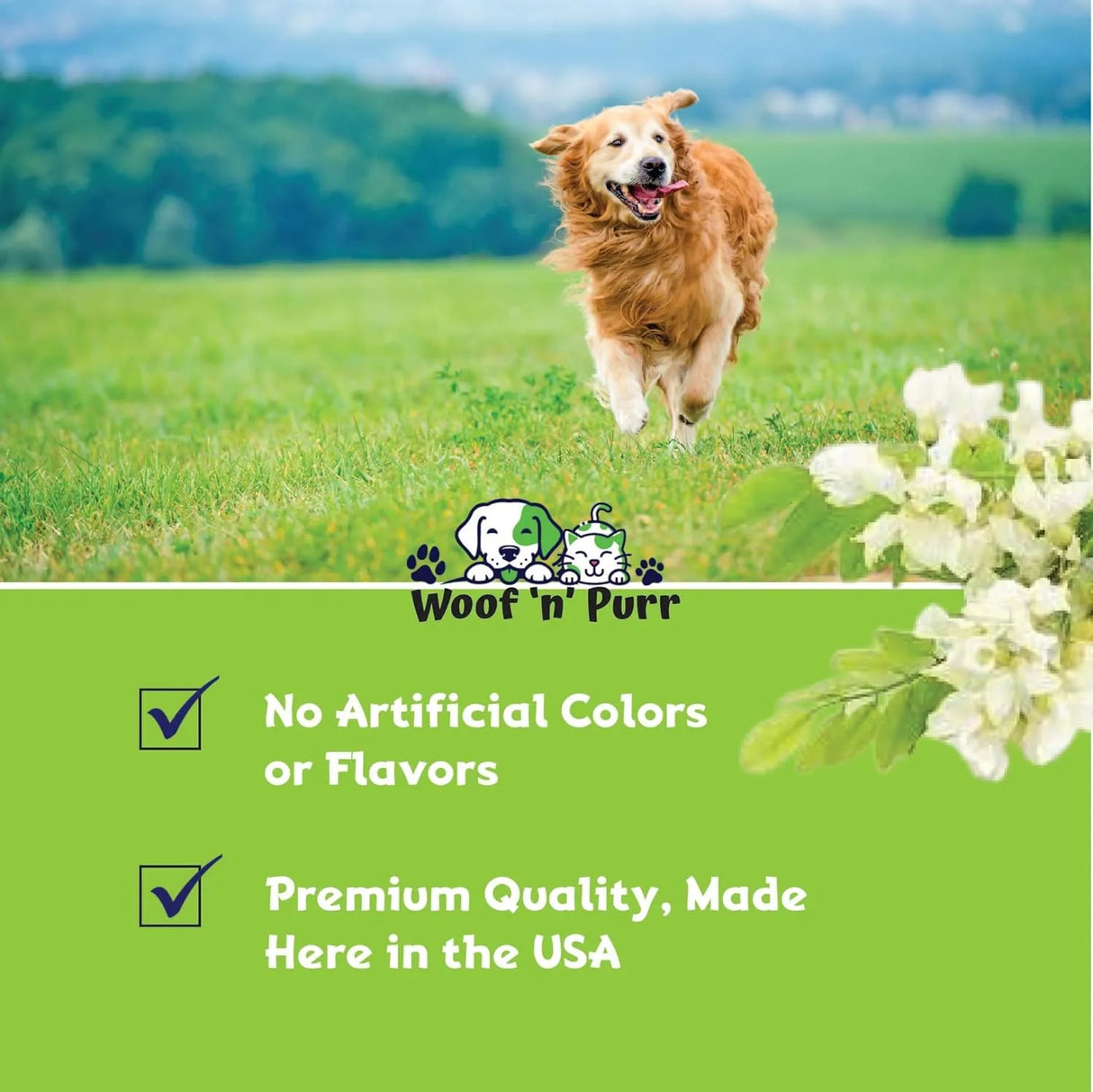 WOOF N PURR - Woof 'n' Purr Dog Ear Infection Treatment 1 Fl.Oz. - The Red Vitamin MX - Cuidado Del Oído De Perros - {{ shop.shopifyCountryName }}