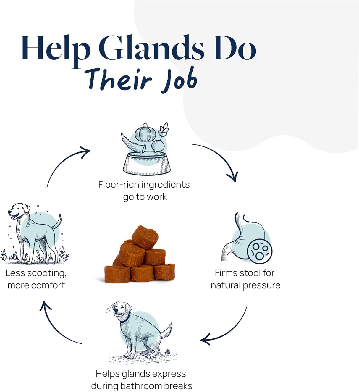 Veterinary Formula Anal Gland Support for Dogs 60 Masticables