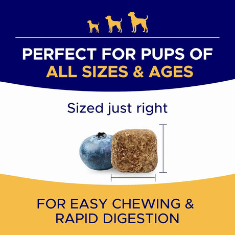 GOODGROWLIES - GOODGROWLIES Omega 3 Fish Oil for Dogs Chicken Flavor 180 Masticables - The Red Vitamin MX - Aceite De Pescado Para Perros - {{ shop.shopifyCountryName }}