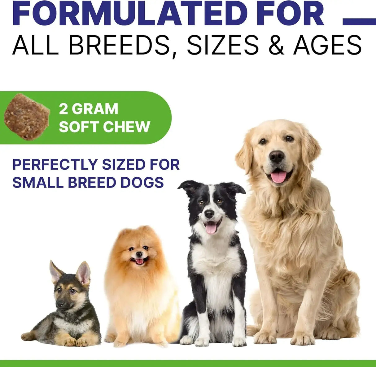 PAWSENTIAL - Pawsential Allergy Relief Dog Chews Chicken Flavor 120 Masticables 2 Pack - The Red Vitamin MX - Remedios Para La Picazón De Perros - {{ shop.shopifyCountryName }}