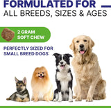 PAWSENTIAL - Pawsential Allergy Relief Dog Chews Chicken Flavor 120 Masticables 2 Pack - The Red Vitamin MX - Remedios Para La Picazón De Perros - {{ shop.shopifyCountryName }}