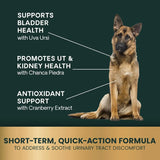 VETRISCIENCE - VetriScience Laboratories UT Strength STAT for Dogs 90 Tabletas Masticables - The Red Vitamin MX - Salud De Tracto Urinario Para Perros - {{ shop.shopifyCountryName }}