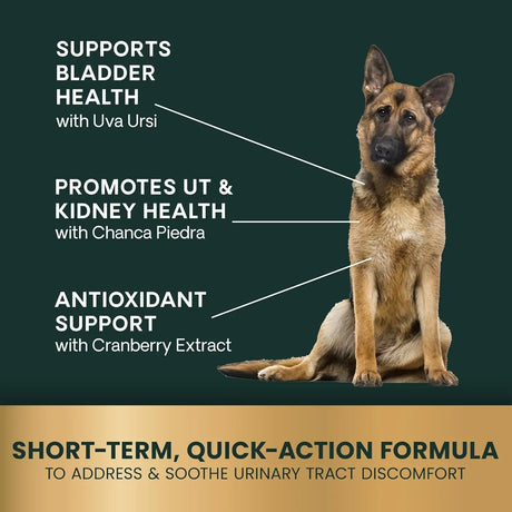 VETRISCIENCE - VetriScience Laboratories UT Strength STAT for Dogs 90 Tabletas Masticables - The Red Vitamin MX - Salud De Tracto Urinario Para Perros - {{ shop.shopifyCountryName }}