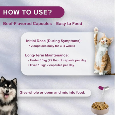 NUTRIARISE - NUTRIARISE UT Aid Plus Cat & Dog UTI Treatment 30 Capsulas - The Red Vitamin MX - Salud De Tracto Urinario Para Perros - {{ shop.shopifyCountryName }}