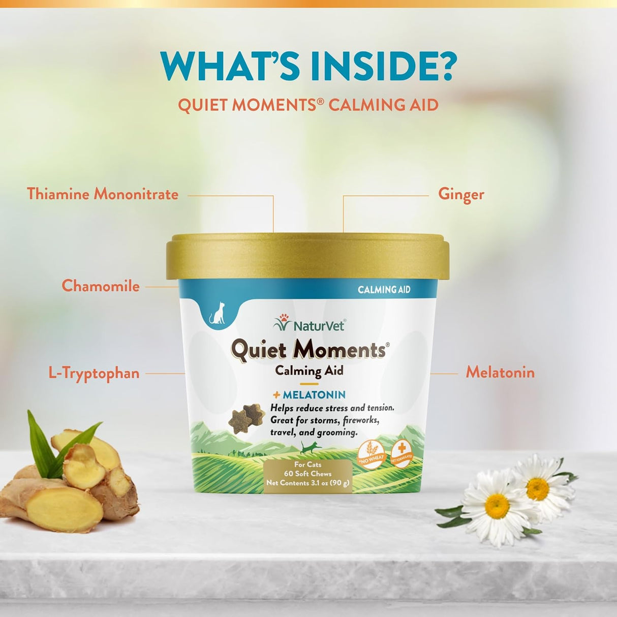 NaturVet Quiet Moments Calming Aid Cat Supplement Plus Melatonin 60 Masticables