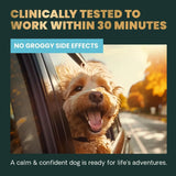 VETRISCIENCE - VetriScience Long Lasting Calm & Confident Calming Chews Peanut Butter 60 Masticables - The Red Vitamin MX - Relajantes Para Perros - {{ shop.shopifyCountryName }}