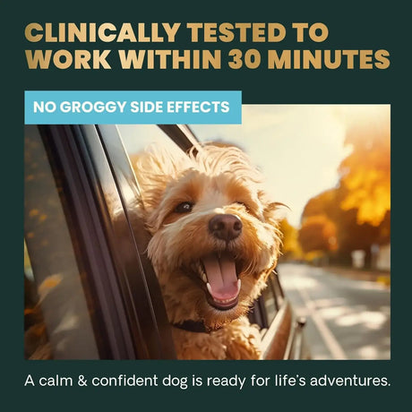 VETRISCIENCE - VetriScience Long Lasting Calm & Confident Calming Chews Peanut Butter 60 Masticables - The Red Vitamin MX - Relajantes Para Perros - {{ shop.shopifyCountryName }}