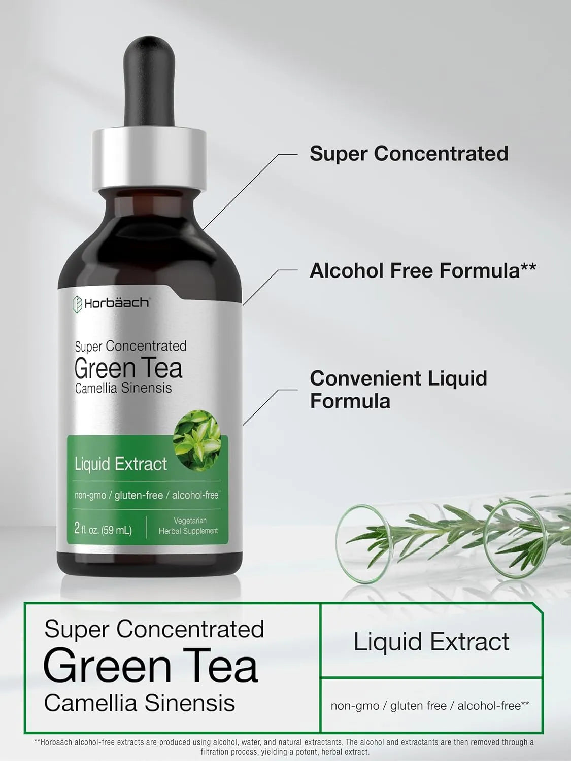 HORBAACH - Horbaach Green Tea Extract Liquid 2 Fl.Oz. - The Red Vitamin MX - Suplementos Alimenticios - {{ shop.shopifyCountryName }}