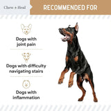 CHEW + HEAL - Chew + Heal Labs Glucosamine Hip and Joint Supplement for Dogs 90 Masticables - The Red Vitamin MX - Cuidado De Cadera Y Articulaciones Para Perros - {{ shop.shopifyCountryName }}