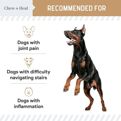 CHEW + HEAL - Chew + Heal Labs Glucosamine Hip and Joint Supplement for Dogs 90 Masticables - The Red Vitamin MX - Cuidado De Cadera Y Articulaciones Para Perros - {{ shop.shopifyCountryName }}