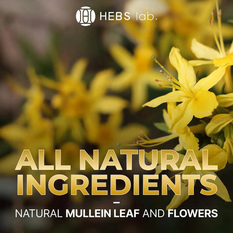 HEBS LAB. - HEBS LAB. Mullein Leaf Extract Organic Lung Cleanse 4 Fl.Oz. - The Red Vitamin MX - Suplementos Alimenticios - {{ shop.shopifyCountryName }}