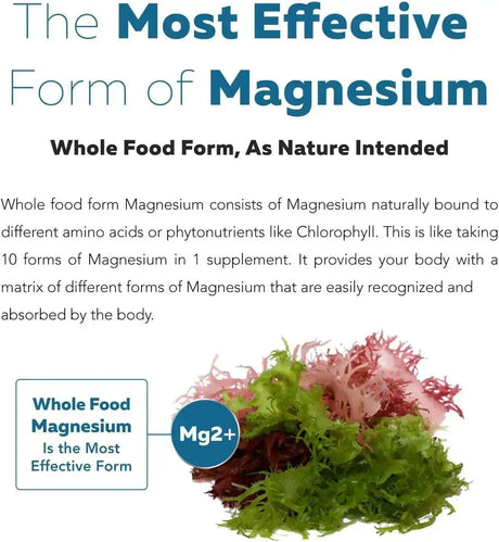 TRIQUETRA - Triquetra Health Plant Magnesium 250Mg. 60 Capsulas - The Red Vitamin MX - Suplementos Alimenticios - {{ shop.shopifyCountryName }}