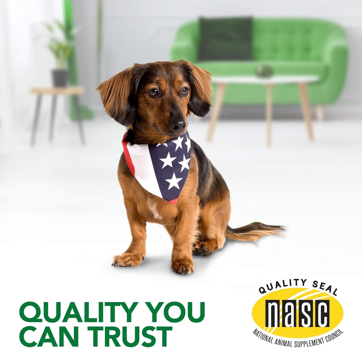 Vet's Best Seasonal Allergy Relief Soft Chews for Dogs 30 Masticables