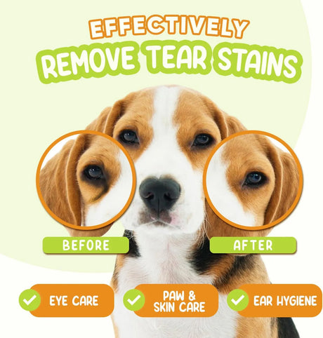 GOECOVITA - GoEcoVita Pet Eye Wipes for Dogs & Cats 200 Toallitas - The Red Vitamin MX - Cuidado De Los Ojos De Los Perros - {{ shop.shopifyCountryName }}