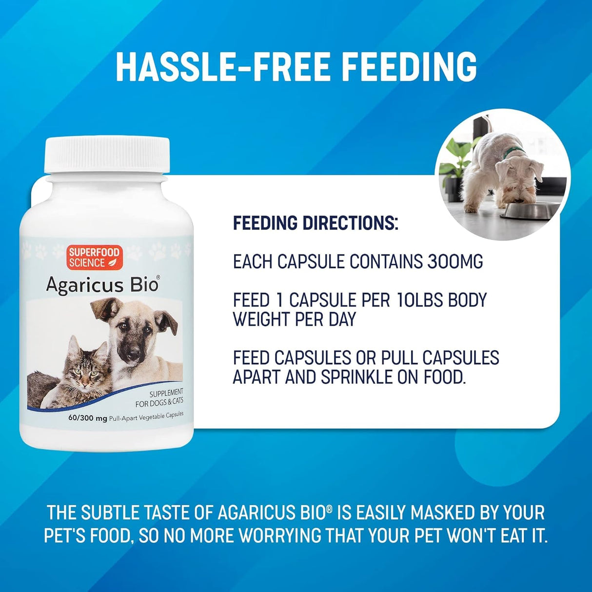 SUPERFOOD SCIENCE - Superfood Science Agaricus Bio 300Mg. Mushroom Pet Supplement 60 Capsulas - The Red Vitamin MX - Suplementos Herbales Para Perros - {{ shop.shopifyCountryName }}