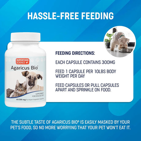 SUPERFOOD SCIENCE - Superfood Science Agaricus Bio 300Mg. Mushroom Pet Supplement 60 Capsulas - The Red Vitamin MX - Suplementos Herbales Para Perros - {{ shop.shopifyCountryName }}