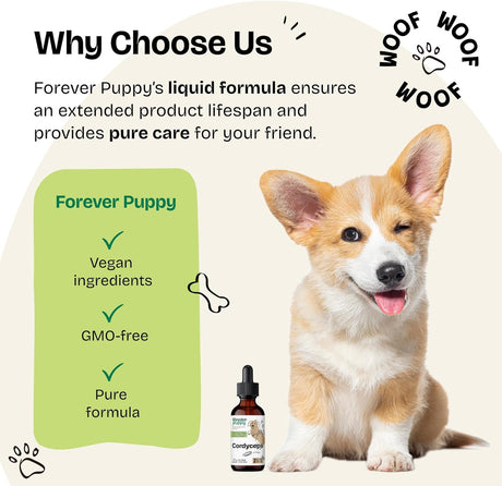 FOREVER PUPPY - Forever Puppy Cordyceps Mushroom Extract for Dogs 2 Fl.Oz. - The Red Vitamin MX - Suplementos Herbales Para Perros - {{ shop.shopifyCountryName }}