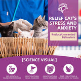 KODASNY Cat Calming Pheromone Spray Kit 60Ml. 2 Pack