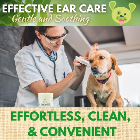 ECOBARK - EcoBark Dog Ear Cleaner Dog Ear Wipes with Finger Pad 50 Toallitas - The Red Vitamin MX - Cuidado Del Oído De Perros - {{ shop.shopifyCountryName }}