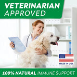 STRELLALAB - StrellaLab Dog Allergy Relief & Anti Itch Support Chews Bacon 120 Masticables - The Red Vitamin MX - Remedios Para La Picazón De Perros - {{ shop.shopifyCountryName }}