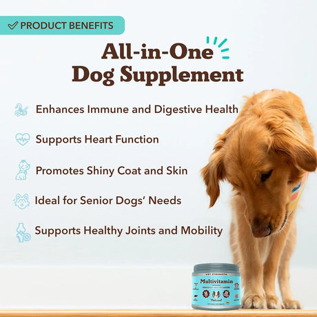 NATURAL DOG - Natural Dog Company Vet Strength Multivitamin Chews 90 Masticables - The Red Vitamin MX - Multivitamínicos Para Perros - {{ shop.shopifyCountryName }}