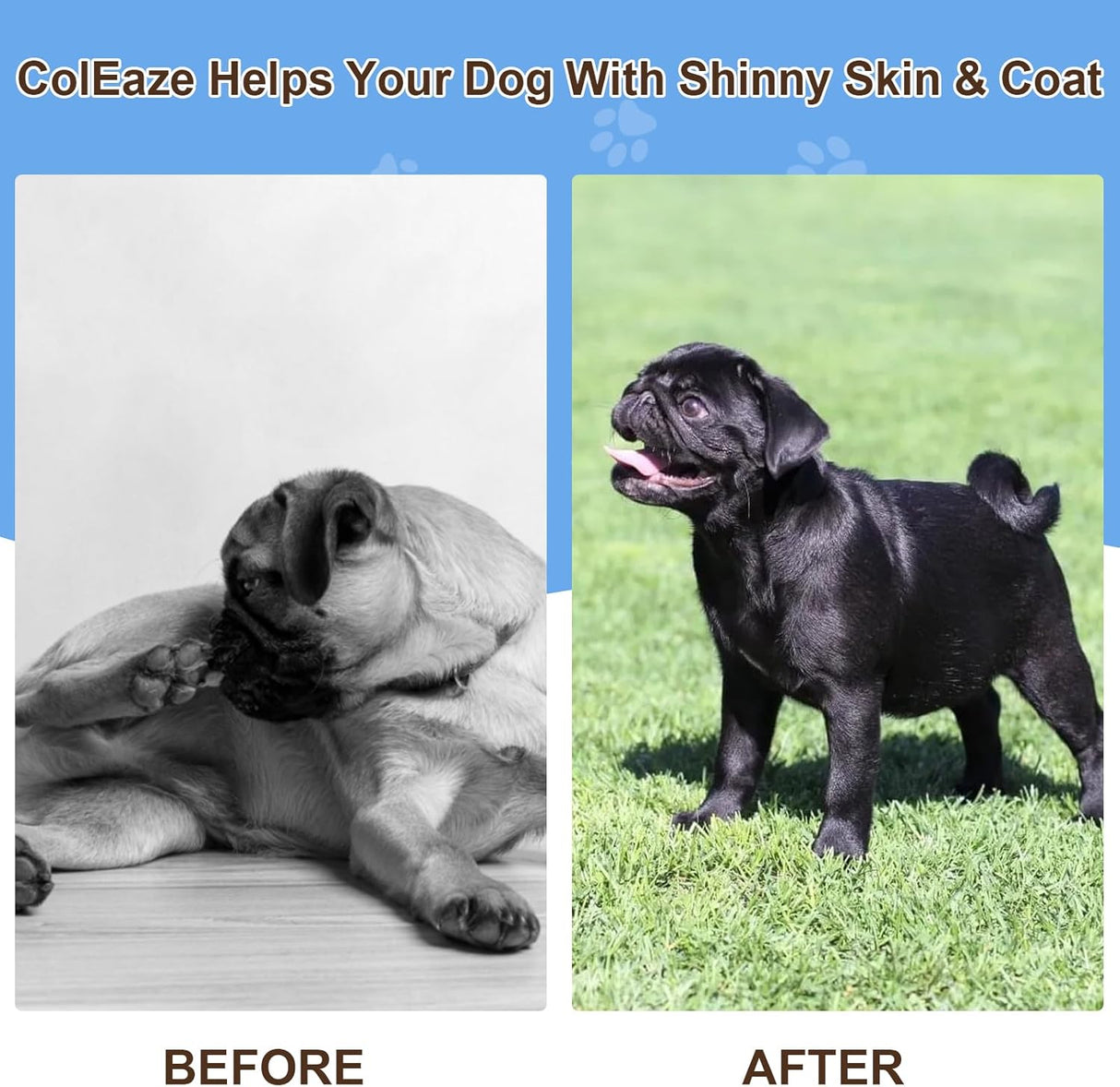 COLEAZE - ColEaze Salmon Oil for Dogs 200 Masticables - The Red Vitamin MX - Aceite De Pescado Para Perros - {{ shop.shopifyCountryName }}