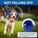 SUNFURA Dog Cone BLUE LARGE