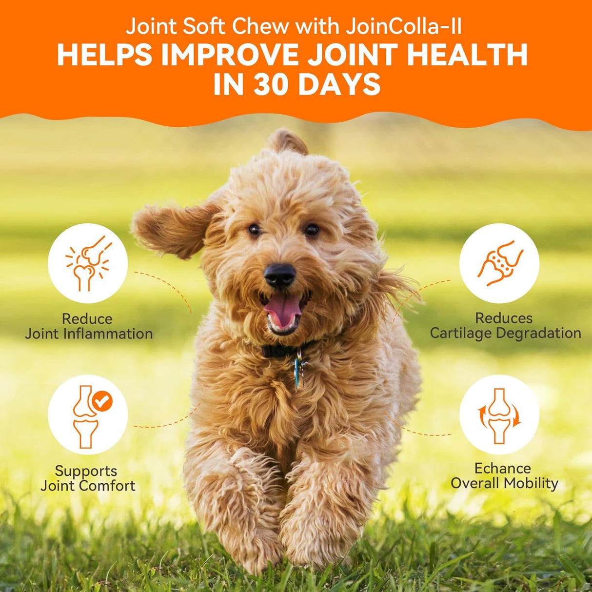 PUAINTA Dog Hip and Joint Supplement 30 Masticables