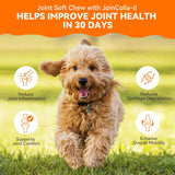PUAINTA Dog Hip and Joint Supplement 30 Masticables