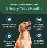 VETRISCIENCE - VETRISCIENCE Veterinary Strength UT Health Chews 60 Masticables - The Red Vitamin MX - Salud De Tracto Urinario Para Perros - {{ shop.shopifyCountryName }}