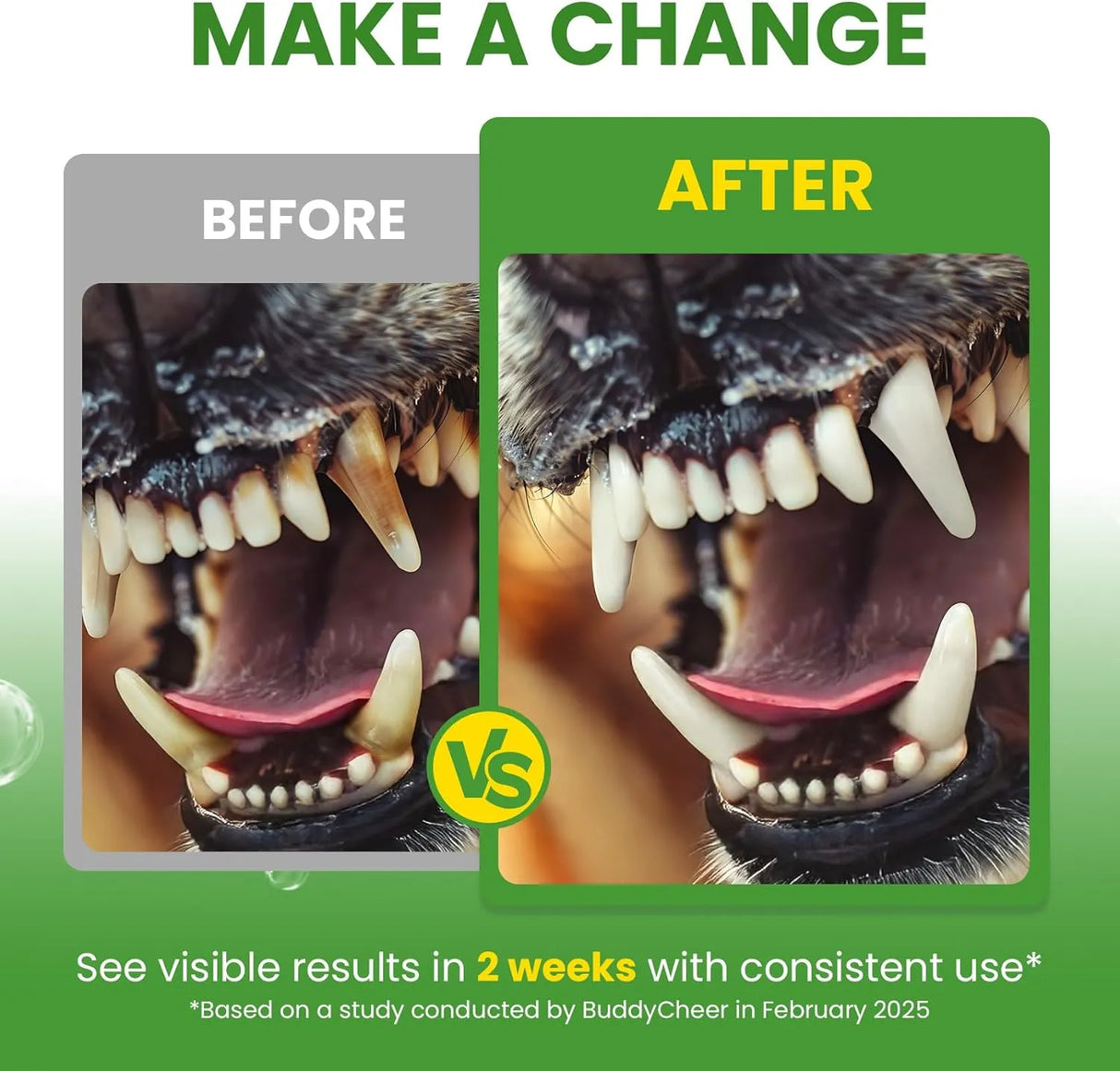 BUDDYCHEER - BuddyCheer Dog Teeth Cleaning Powder 60-Day Supply Mint 150Gr. - The Red Vitamin MX - Cuidado Dental Para Perros - {{ shop.shopifyCountryName }}