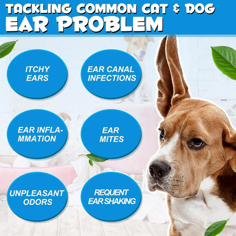 OIMMAL - OIMMAL Cat & Dog Ear Infection Treatment Drops 60Ml. - The Red Vitamin MX - Cuidado Del Oído De Perros - {{ shop.shopifyCountryName }}