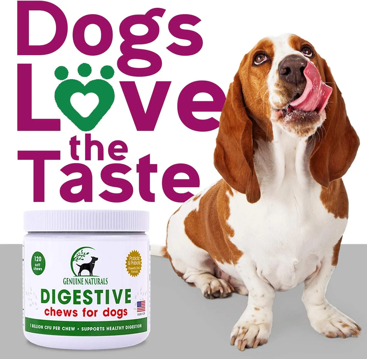 GENUINE NATURALS - Genuine Naturals Digestive Supplement for Dogs Probiotics Chews 120 Masticables - The Red Vitamin MX - Probióticos Para Perros - {{ shop.shopifyCountryName }}