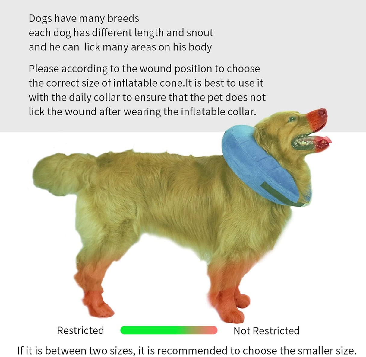 MCHY Adjustable Recovery Collar for Dogs SMALL BLUE
