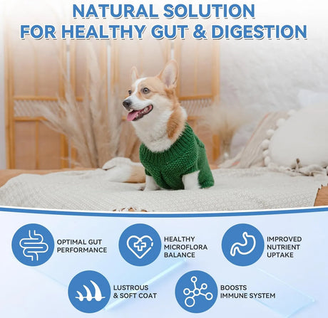 WEALLIN - WEALLIN Probiotics for Dogs 200 Masticables - The Red Vitamin MX - Probióticos Para Perros - {{ shop.shopifyCountryName }}