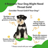 PET WELLBEING - Pet Wellbeing Throat Gold for Dogs 4 Fl.Oz. - The Red Vitamin MX - Medicamentos Sin Receta Para Perros - {{ shop.shopifyCountryName }}