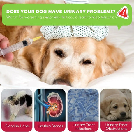 XSVSEIE - Xsvseie Urinary Tract Drops for Dogs 60Ml. - The Red Vitamin MX - Salud De Tracto Urinario Para Perros - {{ shop.shopifyCountryName }}