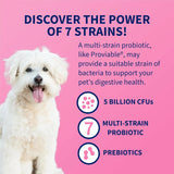NUTRAMAX - Nutramax Proviable Probiotics for Dogs and Cats 30 Capsulas - The Red Vitamin MX - Probióticos Para Perros - {{ shop.shopifyCountryName }}