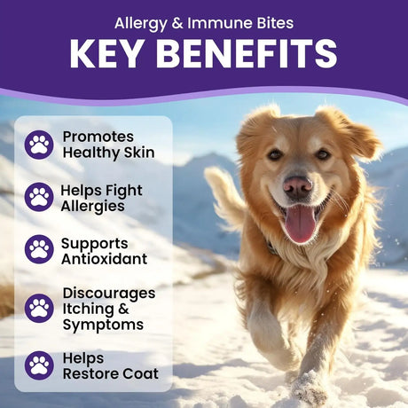 BUDDYCHEER - BuddyCheer Dog Allergy Skin Relief Chews for HotSpot & Dry Skin 180 Masticables - The Red Vitamin MX - Remedios Para La Picazón De Perros - {{ shop.shopifyCountryName }}