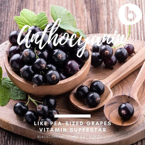 B - b Organic Black Currant Powder 75Gr. - The Red Vitamin MX - Suplementos Alimenticios - {{ shop.shopifyCountryName }}