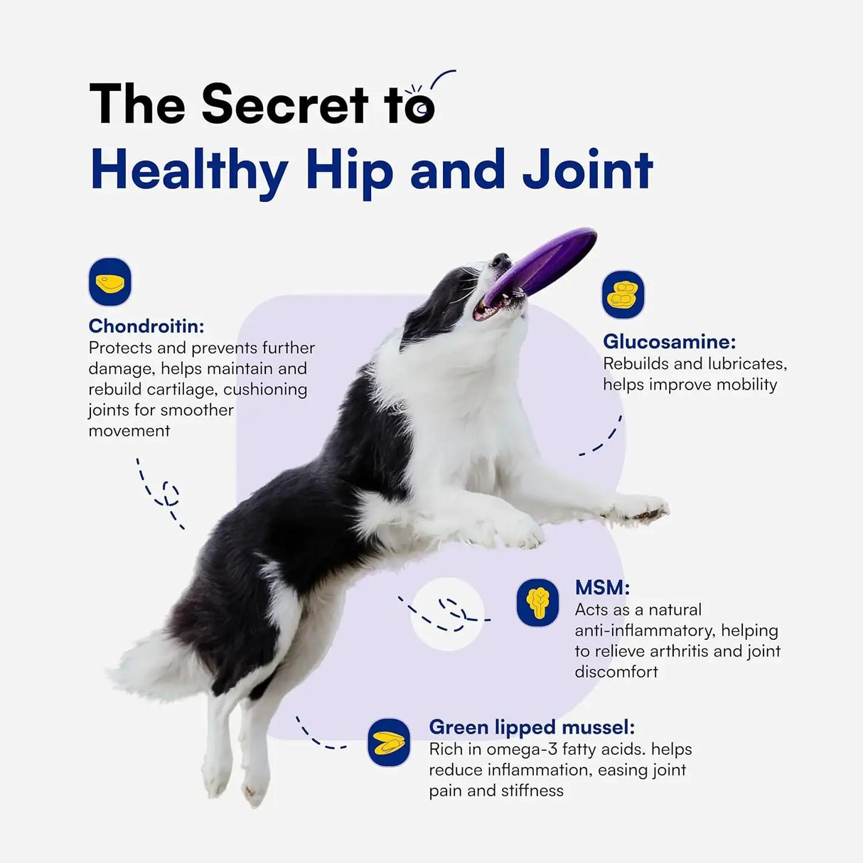 BOOPS PETS - Boops Pets Advanced Hip & Joint Supplement for Dogs 90 Masticables - The Red Vitamin MX - Cuidado De Cadera Y Articulaciones Para Perros - {{ shop.shopifyCountryName }}