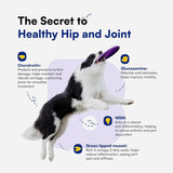 BOOPS PETS - Boops Pets Advanced Hip & Joint Supplement for Dogs 90 Masticables - The Red Vitamin MX - Cuidado De Cadera Y Articulaciones Para Perros - {{ shop.shopifyCountryName }}