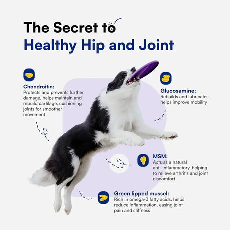 BOOPS PETS - Boops Pets Advanced Hip & Joint Supplement for Dogs 90 Masticables - The Red Vitamin MX - Cuidado De Cadera Y Articulaciones Para Perros - {{ shop.shopifyCountryName }}