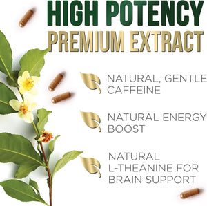 NATURE'S NUTRITION - Nature's Nutrition Green Tea Extract 1000Mg. 60 Capsulas - The Red Vitamin MX - Suplementos Alimenticios - {{ shop.shopifyCountryName }}