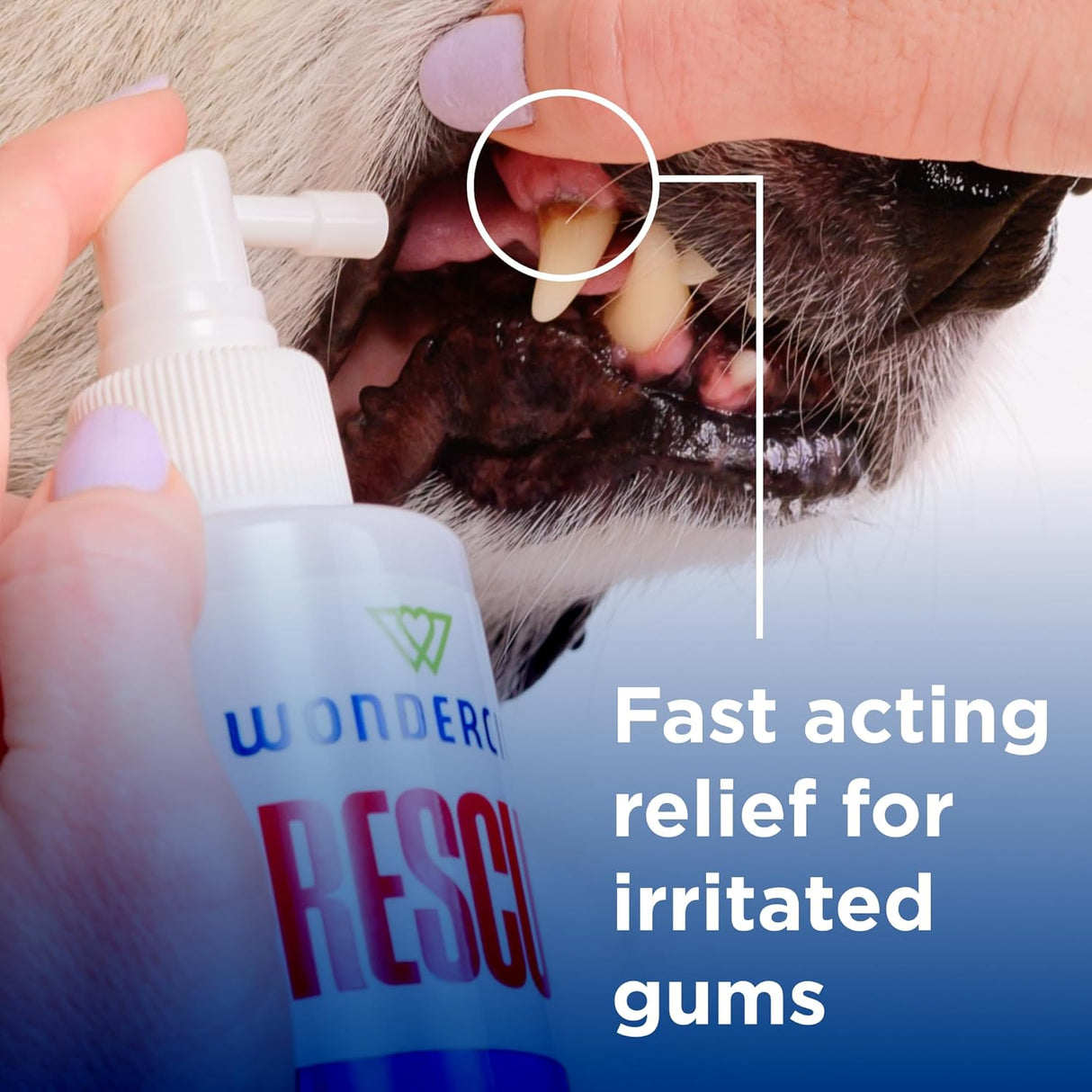 Wondercide Rescue Oral Spray for Dogs and Cats 8.5 Fl.Oz.