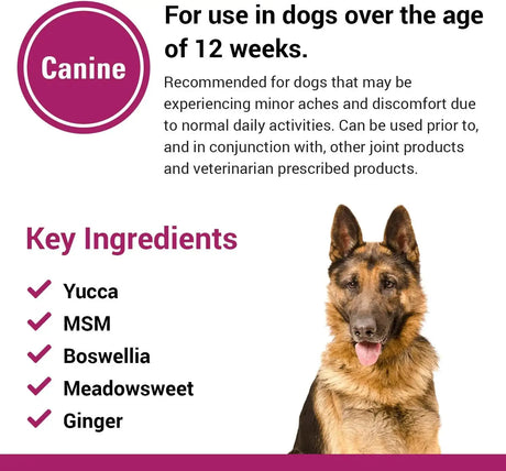 VET CLASSICS - Vet Classics Pain Plus Extra Strength Health Supplement for Dogs 120 Masticables - The Red Vitamin MX - Cuidado De Cadera Y Articulaciones Para Perros - {{ shop.shopifyCountryName }}